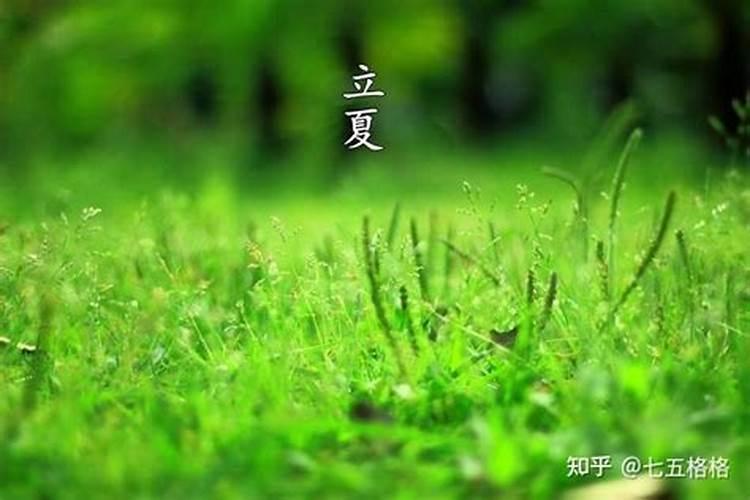 立夏风俗江苏