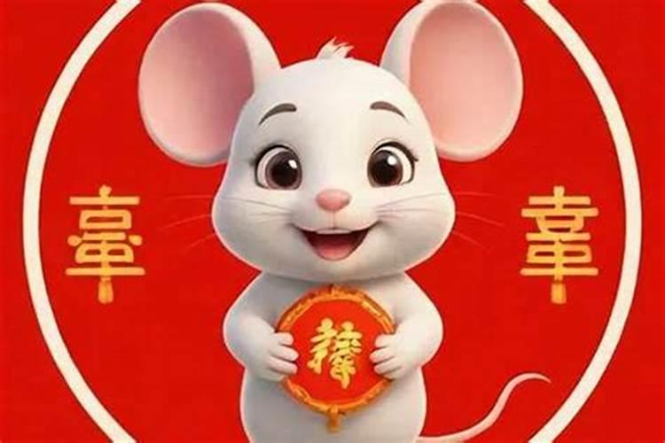 鼠年什么鼠犯太岁？