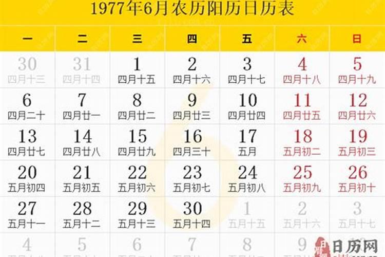 1977年农历6月30出生运势