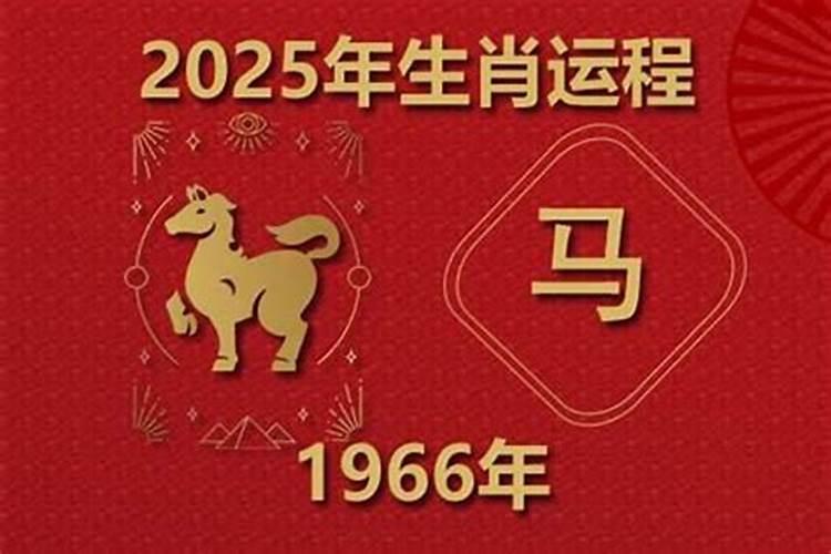 66年属马女下半年的运势如何？