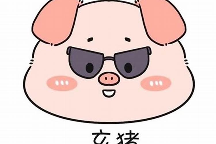 属猪的今年犯太岁历害吗？