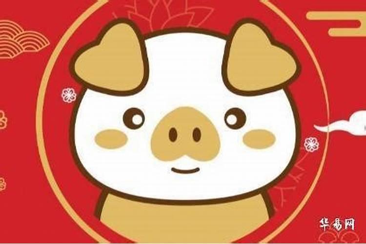 属猪未来5年运势如何？