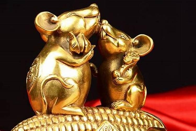 属鼠的今年本命年有没有不好的？