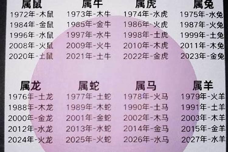 己巳年跟哪一年合婚？