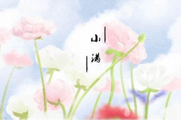 小满出生的人运势