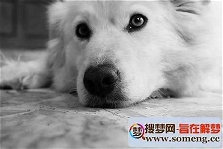 跑童子需要换命吗？