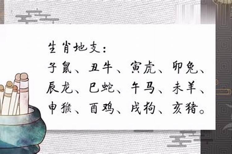 八字属相不合怎么化解？