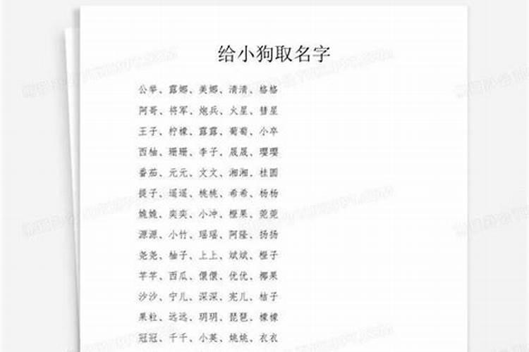 取名字