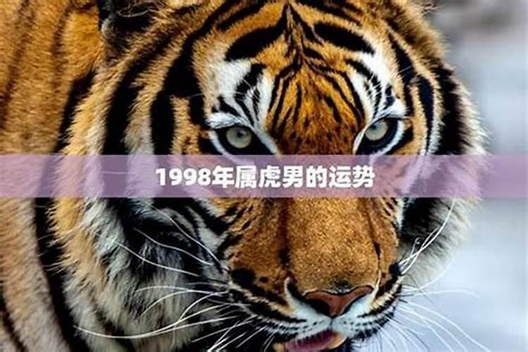 1998虎感情运势如何？