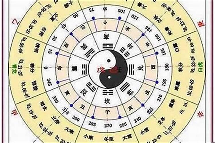 96年丙子年出生猪年的运程