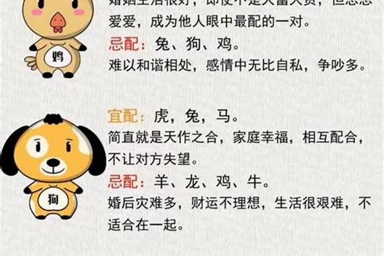 算命男命马女命猴婚姻好吗？