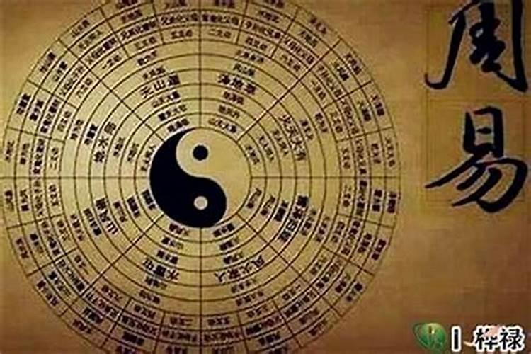 八字水平哪个技术高？