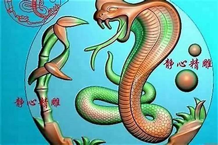 猪蛇相克能合婚吗？
