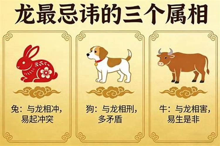 龙最忌讳的三个属相