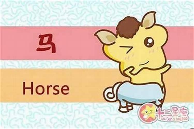 猪和马的八字合不合适