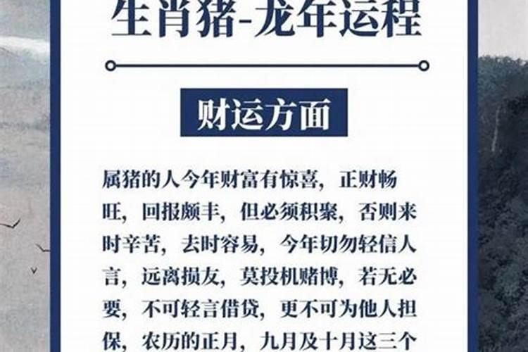 腊月出生的猪宝宝起名