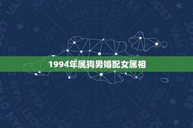 1994年婚配有哪些属相？