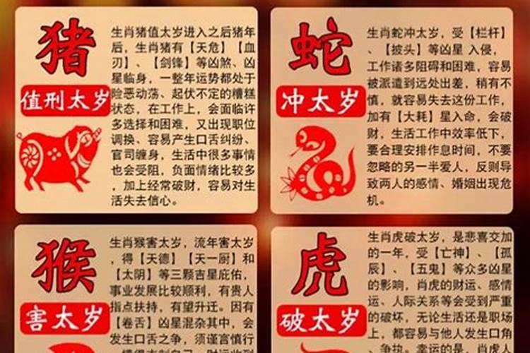 属虎的婚配什么属相好？