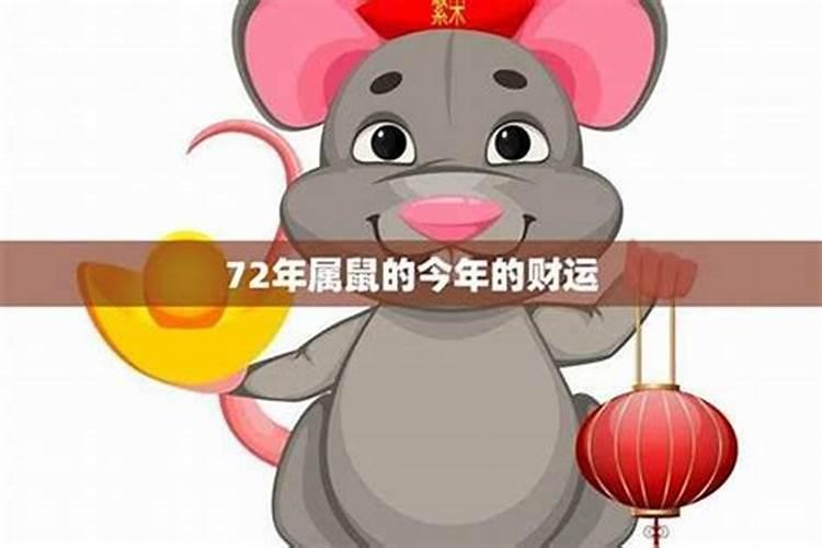 1972年的鼠今年的运势