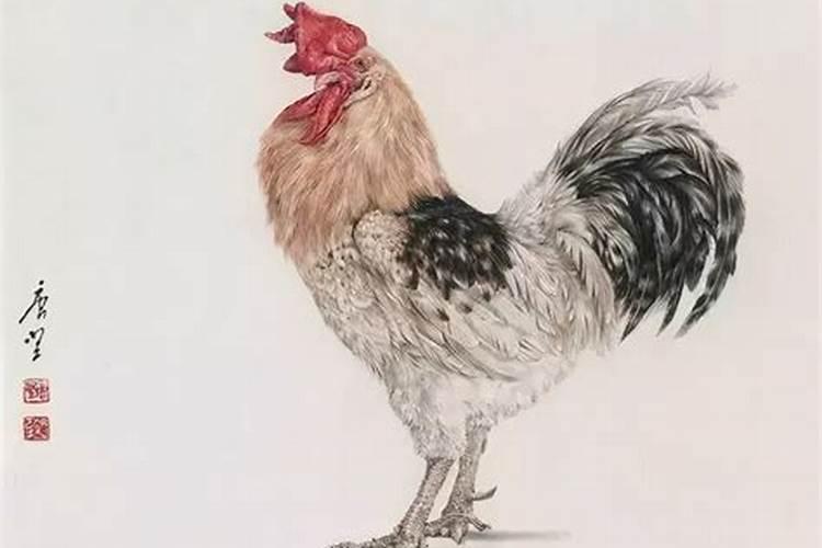 生肖鸡农历七月运势如何？