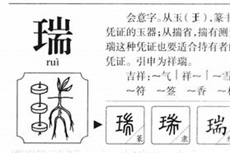 起名瑞字加什么最好？