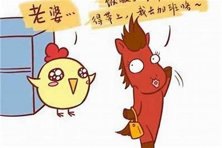 属相男鸡女狗能婚配吗？
