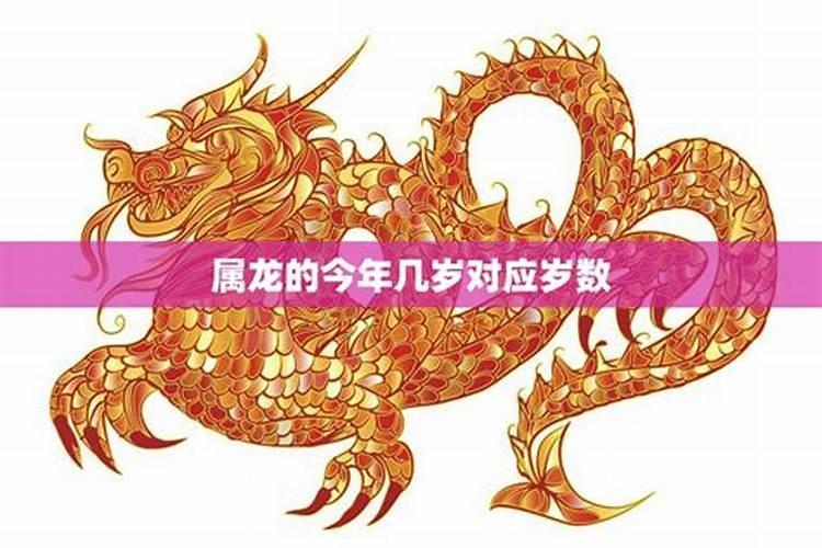 属龙的今年怎样化解太岁？