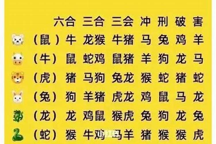 是指的是什么生肖？