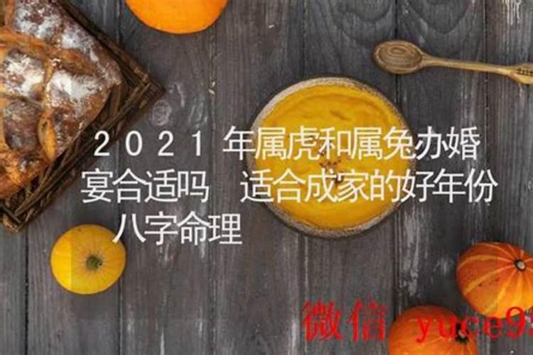属虎和属兔的八字合吗？
