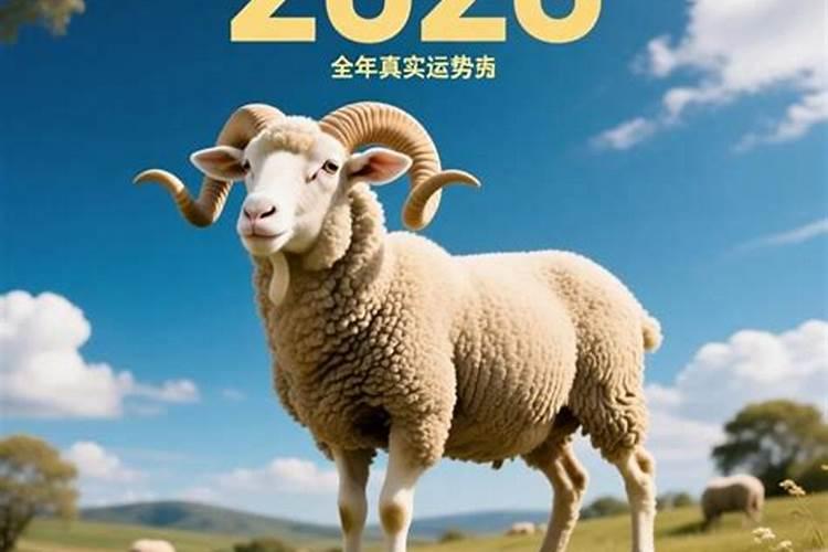 数羊的女孩2026年运势