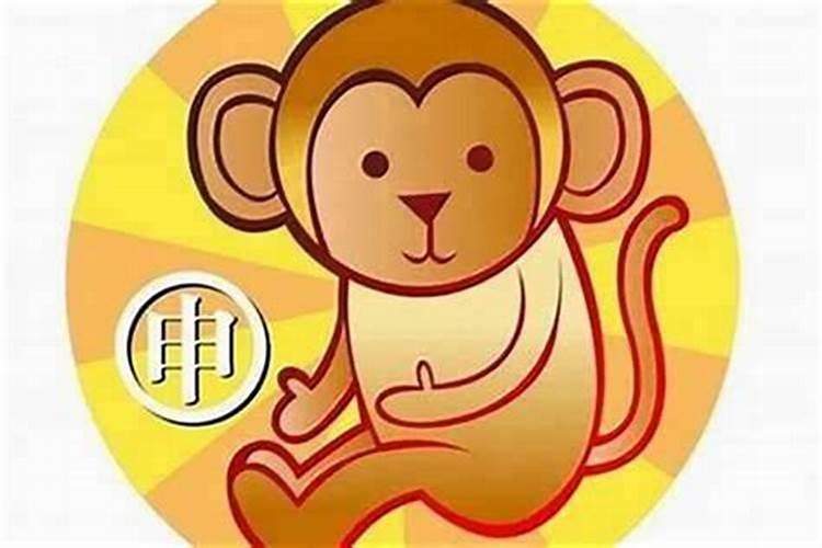 猴这个月的运势如何？