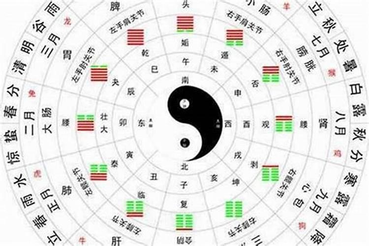 虎和蛇生辰八字哪个合？