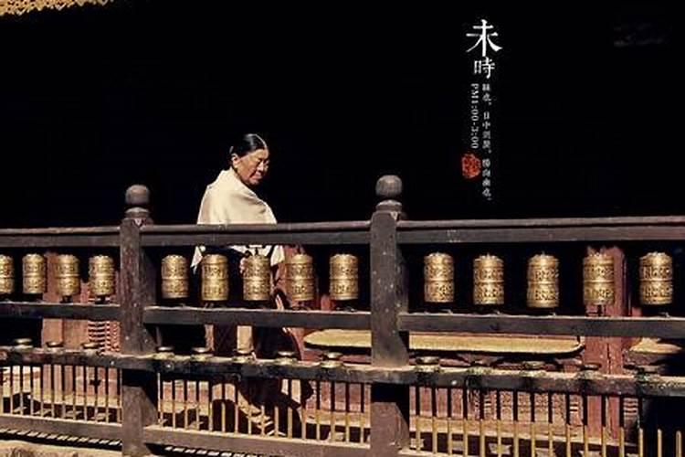 夏至出生的鸡宝宝好不好？