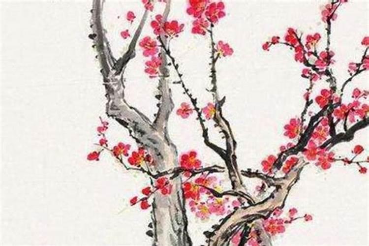三月十五男孩命运怎么样？