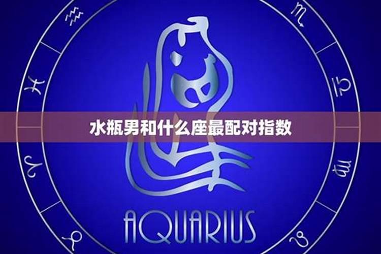 水瓶和什么座最配对？