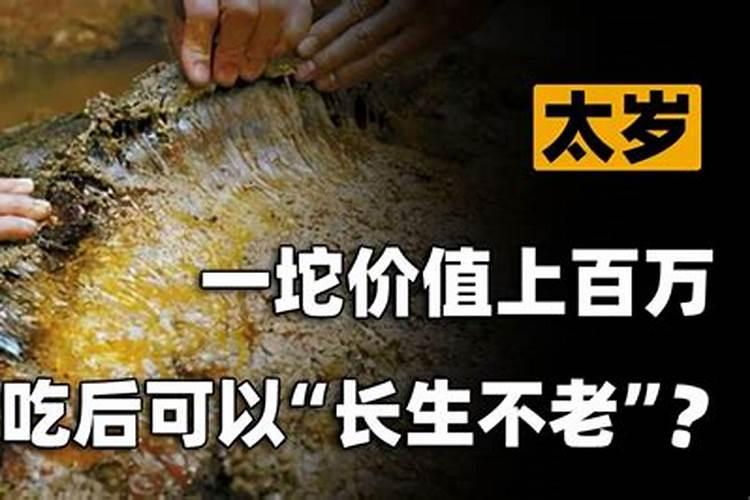 太岁真的是肉灵芝吗？