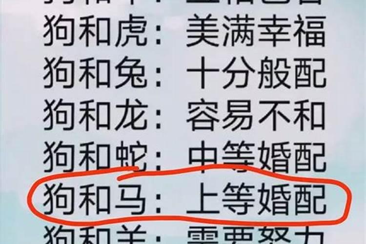 属相男马与女鸡的婚配好吗？