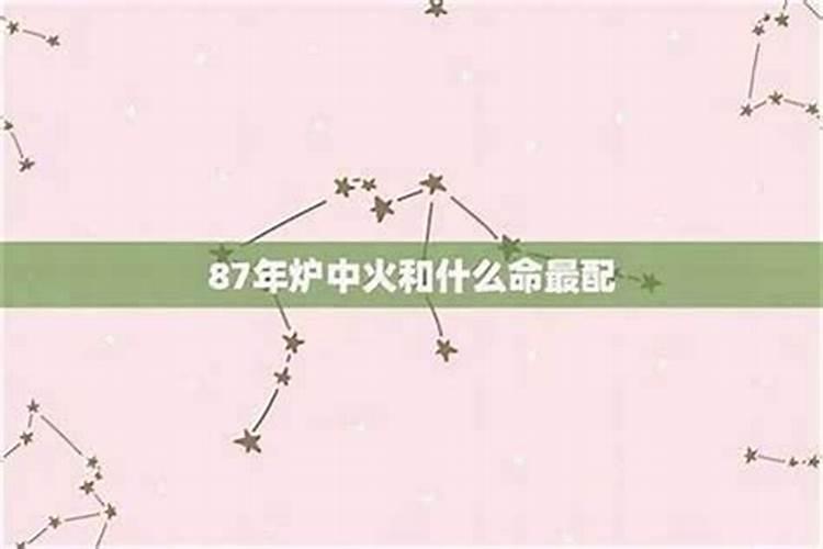 男己士命和什么命最合婚？