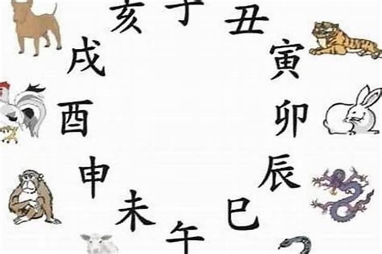 2O08年属一生运程