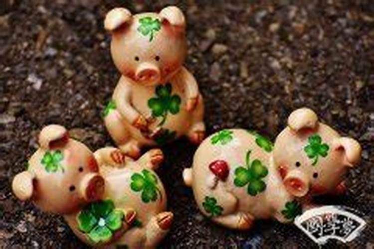 属猪人一生最旺3个人