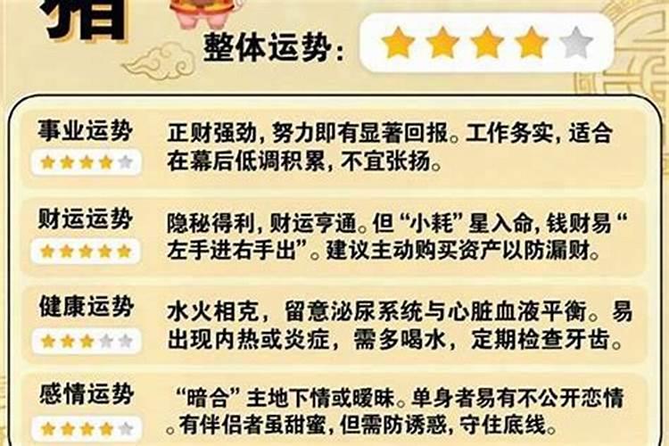 属猪2026年农历八月运势如何？