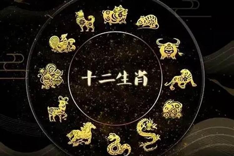 如何提高十二生肖的运势？
