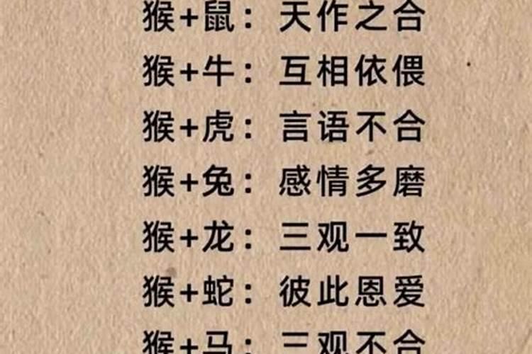 猴女和什么属相最合婚？