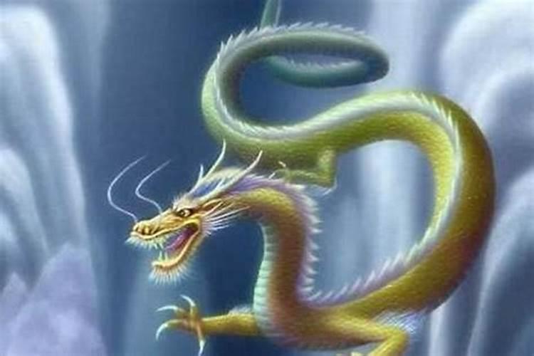 梦到救龙是什么征兆女人？