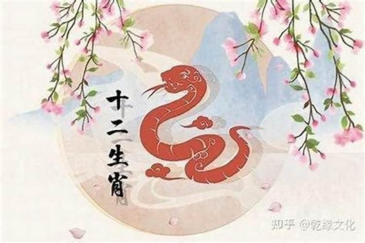 男属蛇女属虎八字合吗？