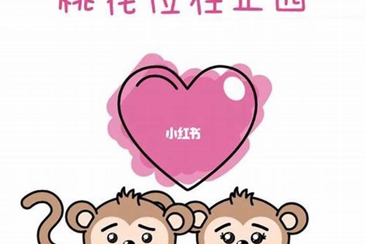 92年女猴今年的感情运势