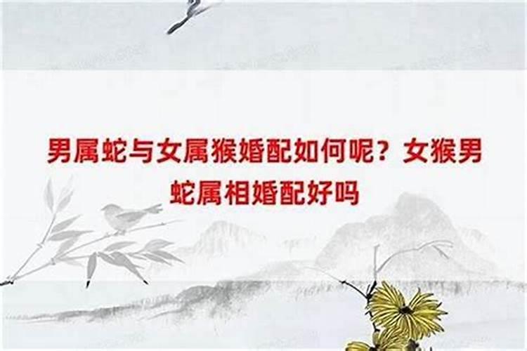 属蛇女与什么属相男婚配好？