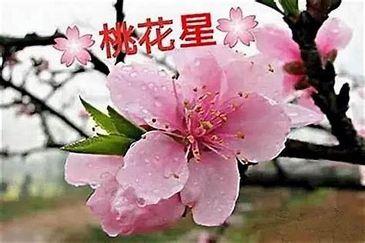 八字命理桃花煞怎么看？