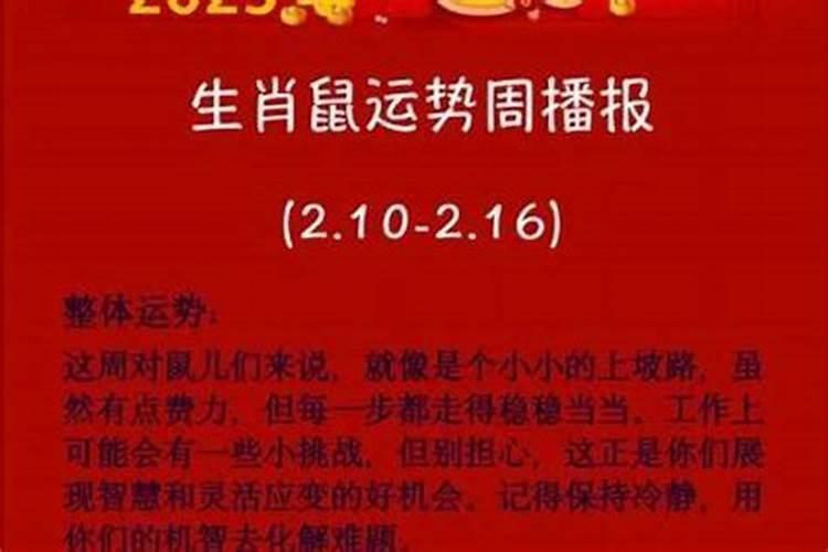 2026属相老鼠今年运势