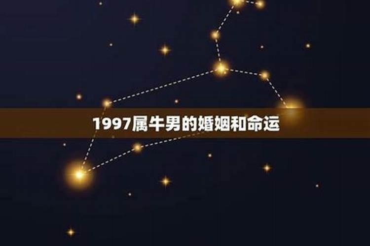 1997年男牛一生运势
